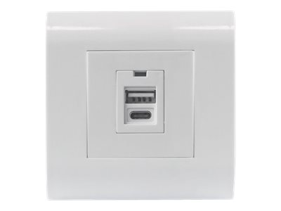 Intellinet Unterputzdose mit einem USB Typ A-Ladeport und einem USB Typ C-Ladeport, Zwei USB-Ladeports, 5 V / 2,1 A Ausgangsleistung, Frontblende im europäischen Format 80 x 80 mm - Ausgang - oberflächenbündig montierbar - USB Type A, USB Typ C