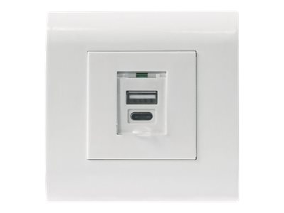 Intellinet Unterputzdose mit 1x USB-A-Ladeport und 1x USB-C-Ladeport - 5 V - 2,1 A - 772228