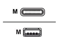 PARAT - USB-Kabel - USB bis USB-C - 50 cm - Schwarz