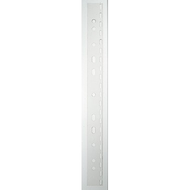 Leitz Abheftstreifen 15783 DIN A4 PP transparent 25 St./Pack.