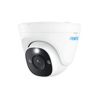 Reolink P334 Smart 4K Ultra HD Dome PoECamera with Person/Vehicle Alerts