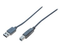 generic - USB-Kabel - USB Typ B (M) zu USB (M) - USB 2.0 - 2 m - Grau