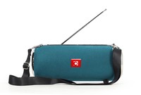 Gembird SPK-BT-17-G - Lautsprecher - tragbar - kabellos - Bluetooth - 10 Watt - grün