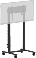 Iiyama ELECTRIC TWO-POST lift on