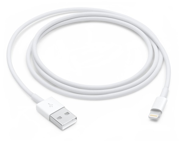 Apple - Lightning-Kabel - Lightning männlich zu USB männlich - 1 m - für Apple iPad/iPhone/iPod (Lightning)