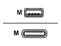 Equip - USB-Kabel - USB (M) zu USB-C (M) - USB 3.2 - 3 A - 1 m - Schwarz