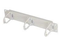 Triton - Kabelmanagement - RAL 7035 - 1U - 25.4 cm (10")