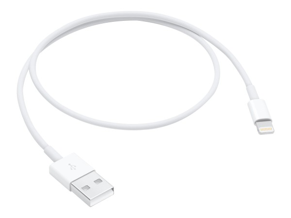 Apple - Lightning-Kabel - Lightning männlich bis USB männlich - 50 cm - für iPad/iPhone/iPod (Lightning)