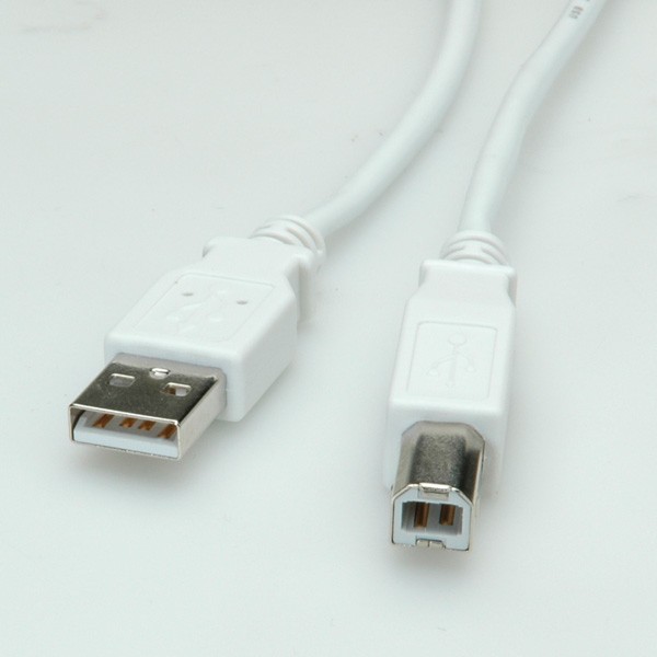 VALUE - USB-Kabel - USB (M) zu USB Typ B (M) - USB 2.0 - 1.8 m - weiß