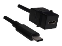 Bachmann - USB-Verlängerungskabel - 24 pin USB-C (M) zu 24 pin USB-C (W) Keystone - USB 3.1 - 50 cm - USB Power Delivery (60W) - Schwarz