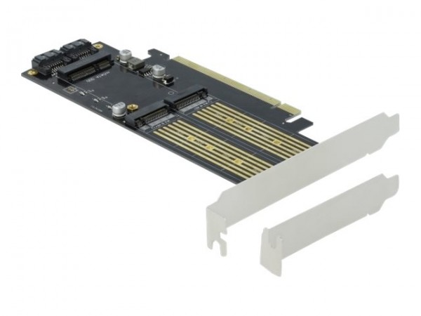 DeLOCK - Speicher-Controller - mSATA, M.2 - M.2 Card / mSATA Low-Profile - SATA 6Gb/s, PCIe 4.0 x16