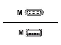 PARAT - Lightning-Kabel - USB (M) bis Lightning (M) - 40 cm - weiß - rund - für Apple iPad/iPhone/iPod (Lightning)