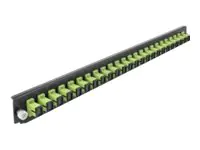Delock Rack-Montageblech für Glasfaser-Spleißbox - Vorderseite - SC MM X 24 - hellgrün - 1U - 48.3