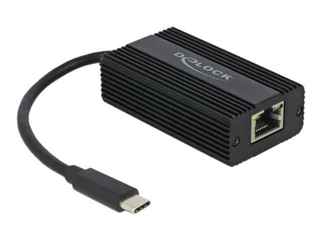 DeLOCK Adapter USB Type-C male to 2.5 Gigabit LAN - Netzwerkadapter - USB-C 3.1 Gen 1 - 2.5GBase-T - Schwarz