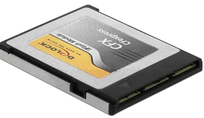 Delock - Flash-Speicherkarte - 64 GB - CFexpress