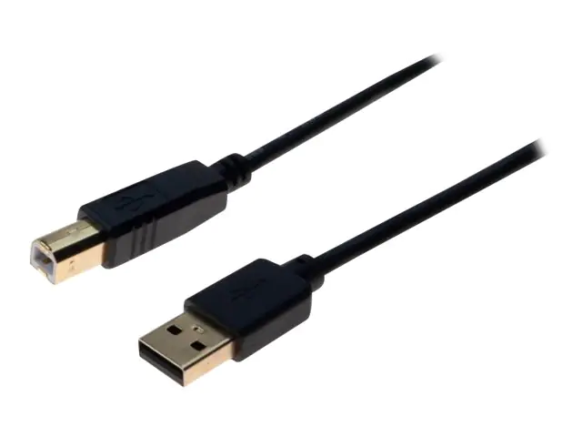 exertis Connect - USB-Kabel - USB Typ B (M) zu USB (M) - USB 2.0 - 3 m - Schwarz