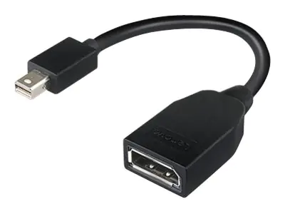 Lenovo - DisplayPort-Adapter - Mini DisplayPort (M) bis DisplayPort (W) - 17.6 cm - für ThinkCentre M70; M80; ThinkPad T470; ThinkStation P330; P330 (2nd Gen); P340; P520; P620