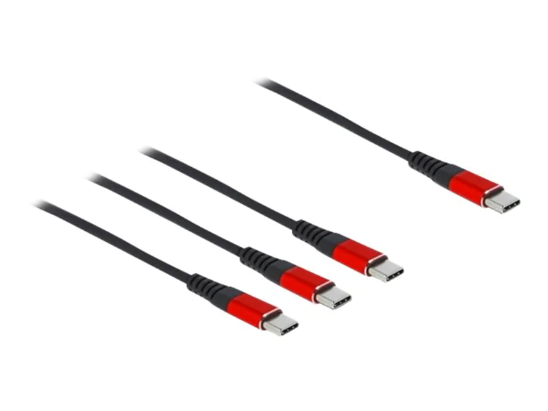 Delock - USB-Kabel - 24 pin USB-C (M) zu 24 pin USB-C (M) - USB 2.0 - 5 V - 3 A - 1 m - Schwarz / Rot