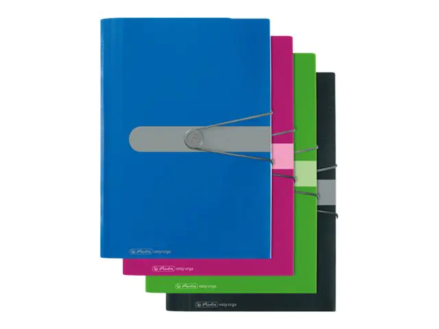 Herlitz Fächermappe easy orga to go 11209517 A4 12Fächer PP apfel