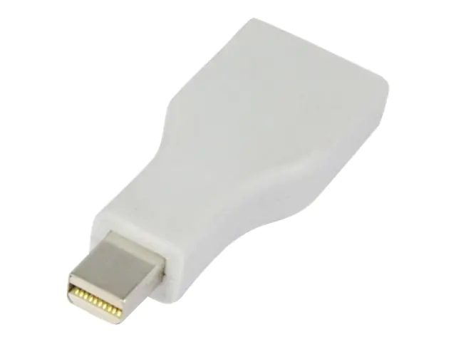 TECHly - Display-Adapter - Mini DisplayPort (W) zu DisplayPort (M) - DisplayPort 1.1 - 1080p-Unterstützung - weiß