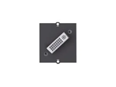 Bachmann - Modulares Faceplate-Snap-In - DVI-I - Schwarz