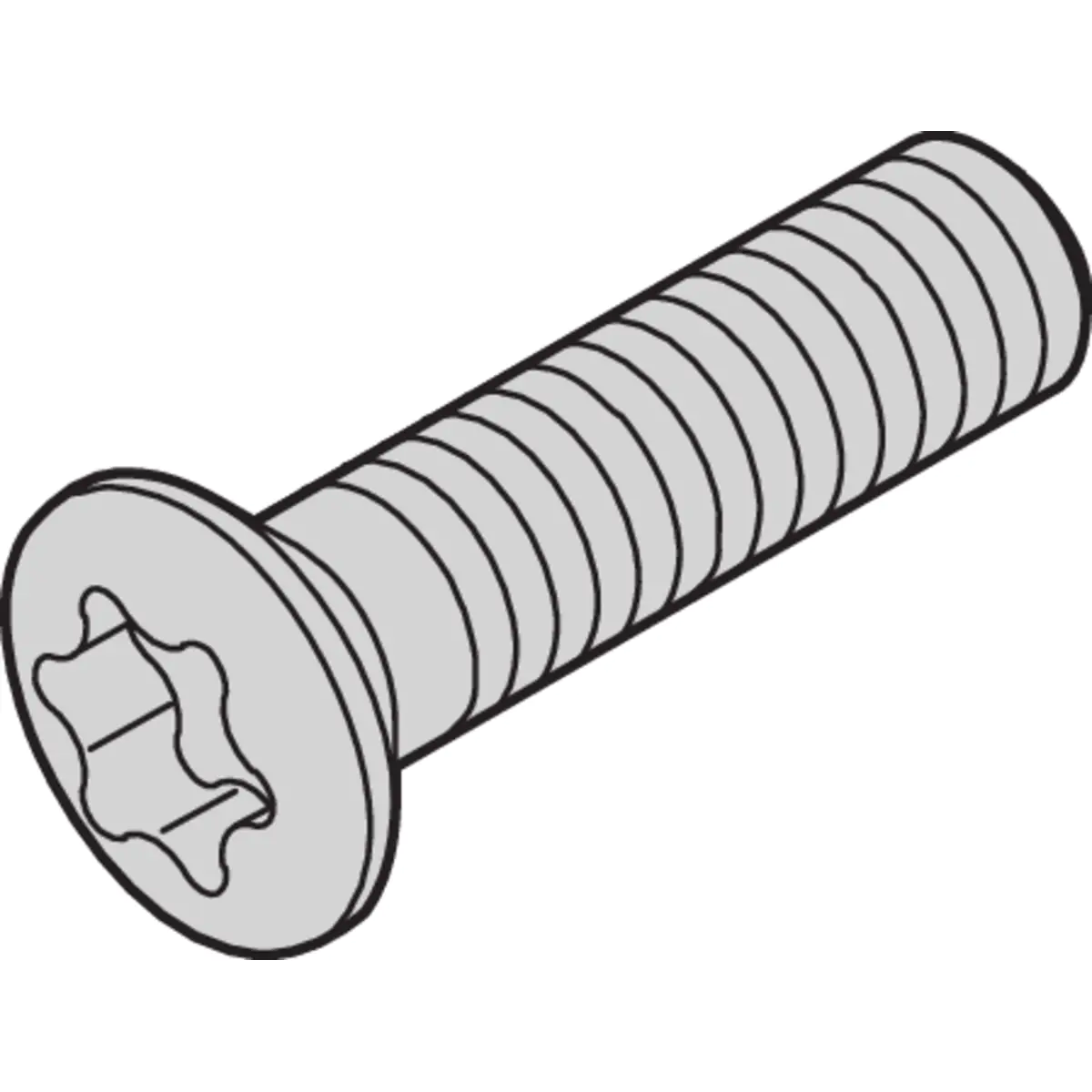 SCHROFF SCREW PENTORX M2.5X10(100PC)