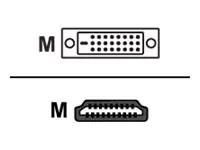 Gefen Locking Cable - Adapterkabel - DVI-D männlich