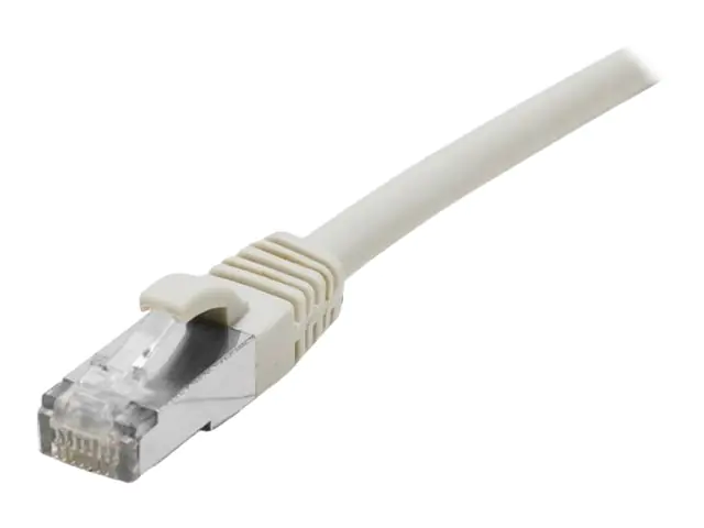 Dexlan - Patch-Kabel - RJ-45 (M) zu RJ-45 (M) - 50 cm - S/FTP - CAT 8,1 (Kabel) / CAT 6a (Anschlüsse) - halogenfrei - Grau