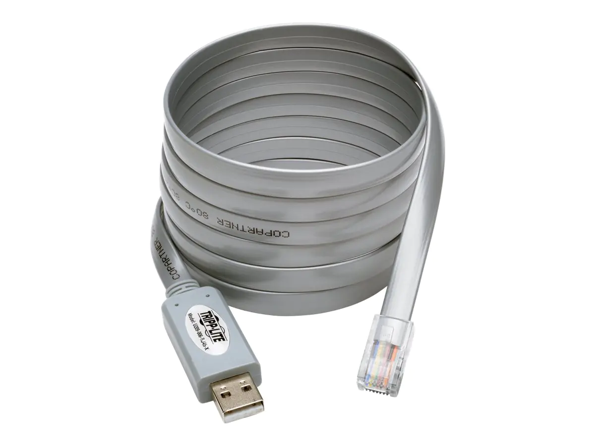 Eaton Tripp Lite Series USB to RJ45 Cisco Serial Rollover Cable, USB Type-A to RJ45 M/M, 6 ft - Serieller Adapter - USB - Grau