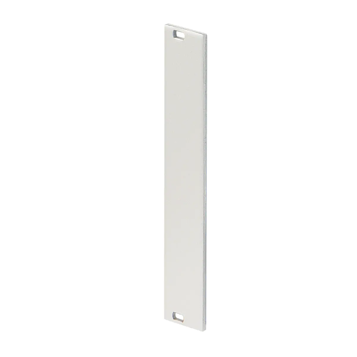 SCHROFF Frontplatte EMC 42TE 30846-681 - Rack-Zubehör