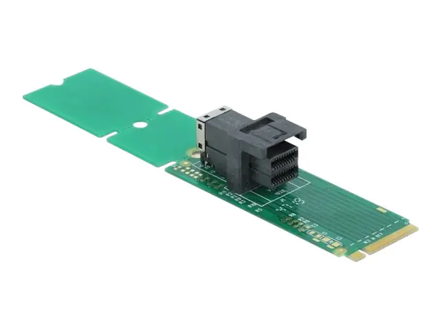 DeLOCK Adapter M.2 Key M to SFF-8643 NVMe 22110 / 2280 / 2260 - Schnittstellenadapter - M.2 - U.2 NVMe - M.2 Card