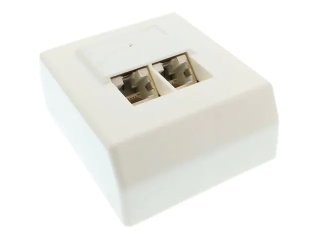 InLine - Wanddose - CAT 5e - RJ-45 X 2 - weiß, RAL 9010