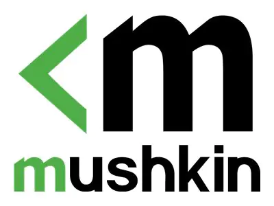 Mushkin ELEMENT - SSD - 2 TB - intern - M.2 2280 - PCIe 3.0 x4 (NVMe)