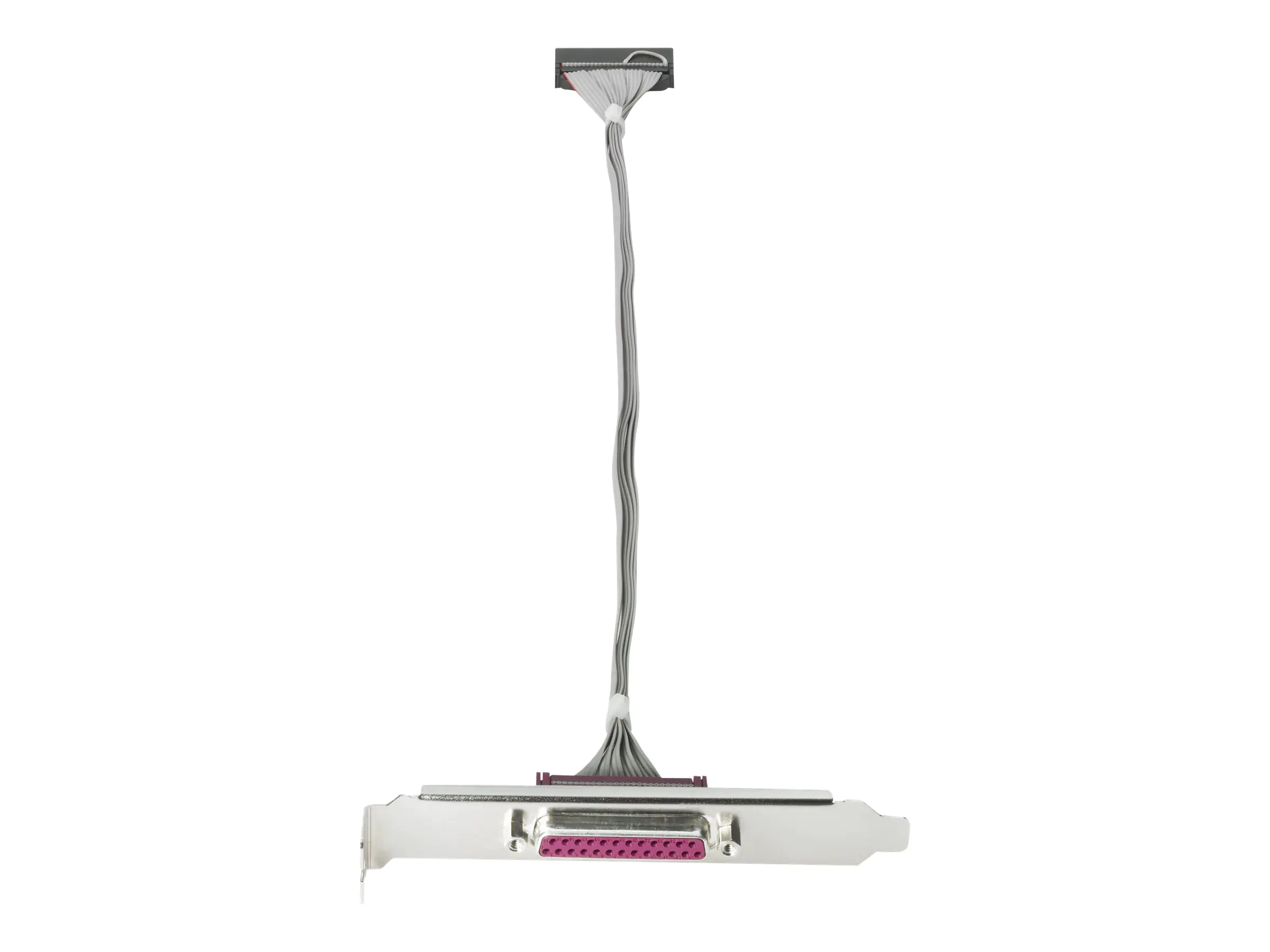 HP Parallel Port Adapter - Parallel-Adapter - IEEE 1284 - für HP 280 G2; Desktop Pro 300 G6; EliteDesk 800 G1; ProDesk 40X G1, 600 G1; Workstation Z230