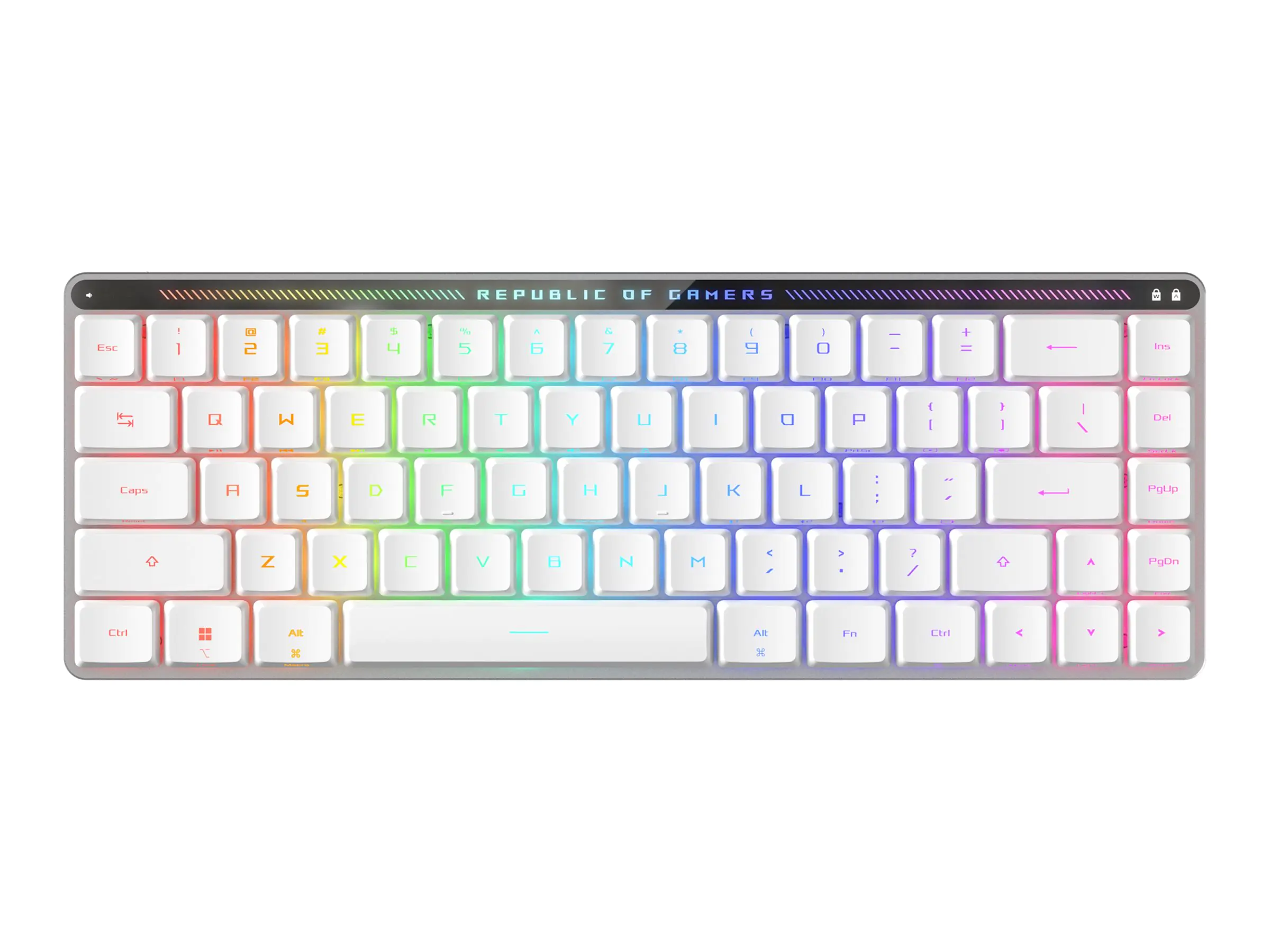 ASUS ROG Falchion RX - Tastatur - flaches Profil