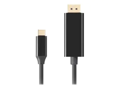 Lanberg Adapterkabel - USB-C (M) zu DisplayPort (M)