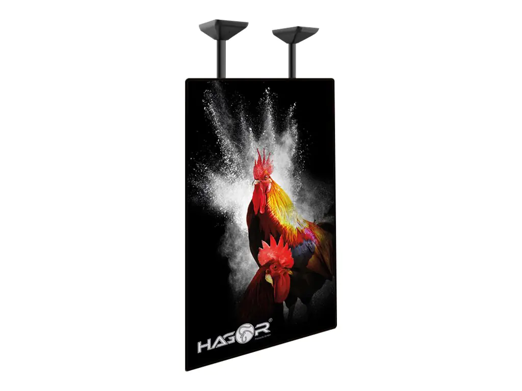 Hagor PLD Single HD Portrait - Befestigungskit (Deckenmontage) - für Flachbildschirm - Schwarz - Bildschirmgröße: 190.5-254 cm (75"-100") - Montageschnittstelle: bis zu 900 x 600 mm