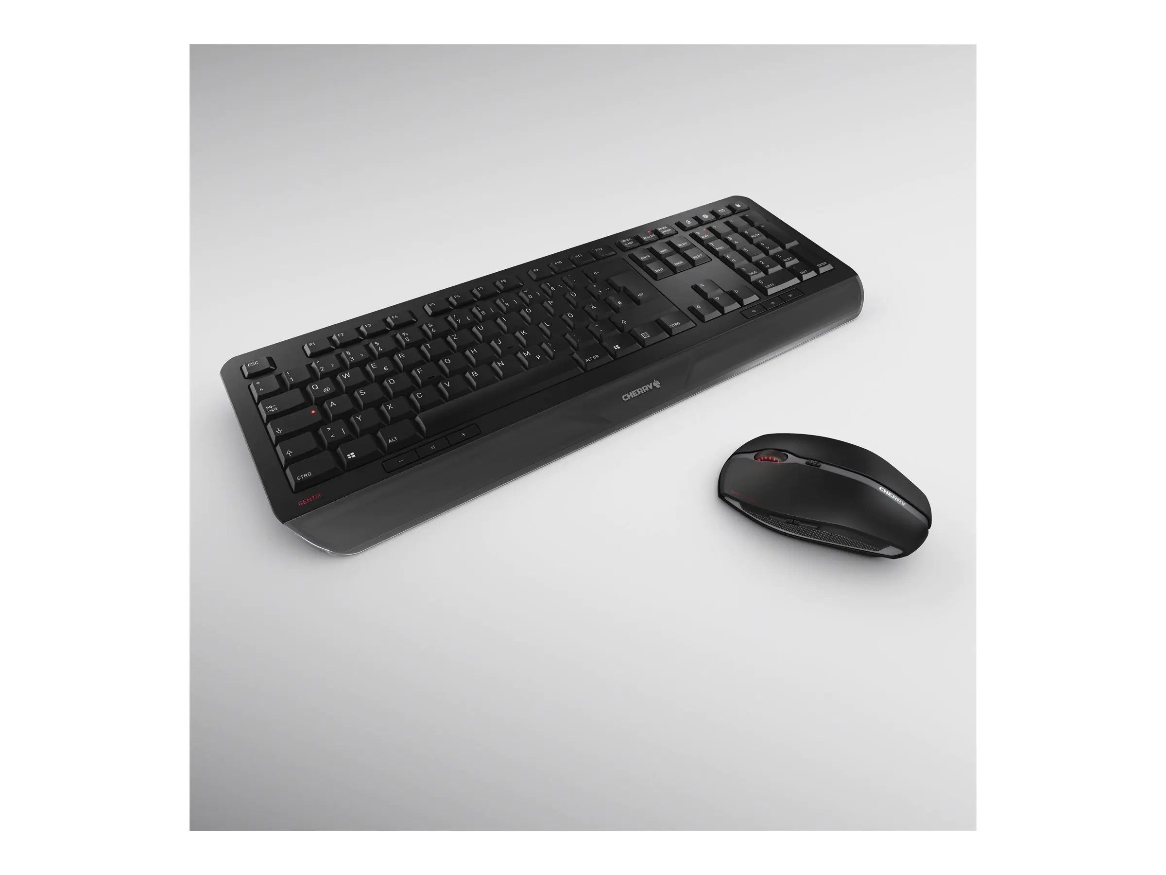 Cherry GENTIX DESKTOP - Tastatur-und-Maus-Set JD-7000DE-2