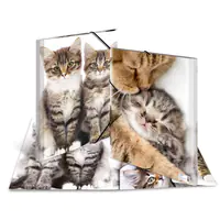 HERMA Sammelmappe 7143 DIN A3 PP Katzen