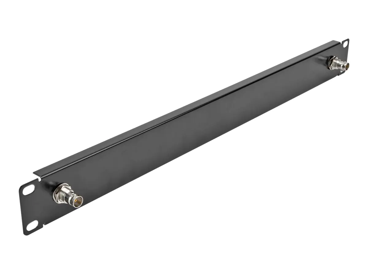 Delock Rackpaneel - BNC x 2 - Schwarz - 1U - 48.3 cm (19")