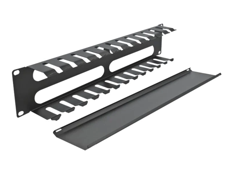 DeLOCK - Kabelführungsplatte für Schaltschrank - Schwarz - 2U - 48.3 cm (19")