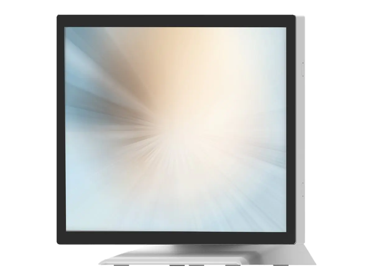 MicroTouch DT-170P-M1 - LCD-Monitor - 43.2 cm (17")