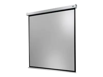celexon Electric Professional Plus Square format - Leinwand - Deckenmontage möglich, geeignet für Wandmontage - motorisiert - 230 V - 396 cm (156") 1090793