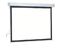Projecta Hapro Manual Video Format - Leinwand - Deckenmontage möglich, geeignet für Wandmontage -