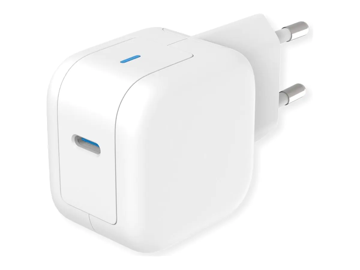 ROTRONIC-SECOMP Roline - Netzteil - GaN - 20 watt - 3 A (USB-C) 19.11.1057