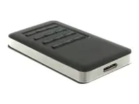 DeLOCK - Schnittstellenadapter - M.2 - USB 3.0 - Grau, Schwarz