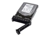 Dell Festplatte - 2.4 TB - Hot-Swap - 2.5" (6.4 cm)