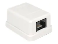 Delock Wanddose - CAT 6 - UTP - RJ-45 - weiß