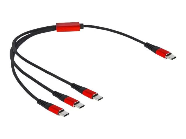 Delock - USB-Kabel - 24 pin USB-C (M) zu 24 pin USB-C (M) - USB 2.0 - 5 V - 3 A - 30 cm - Schwarz