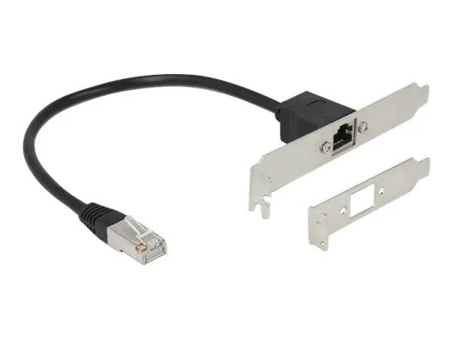 Delock - Netzwerkverlängerungskabel - RJ-45 (M) zu RJ-45 (W) - 30 cm - ungeschirmt - CAT 5e